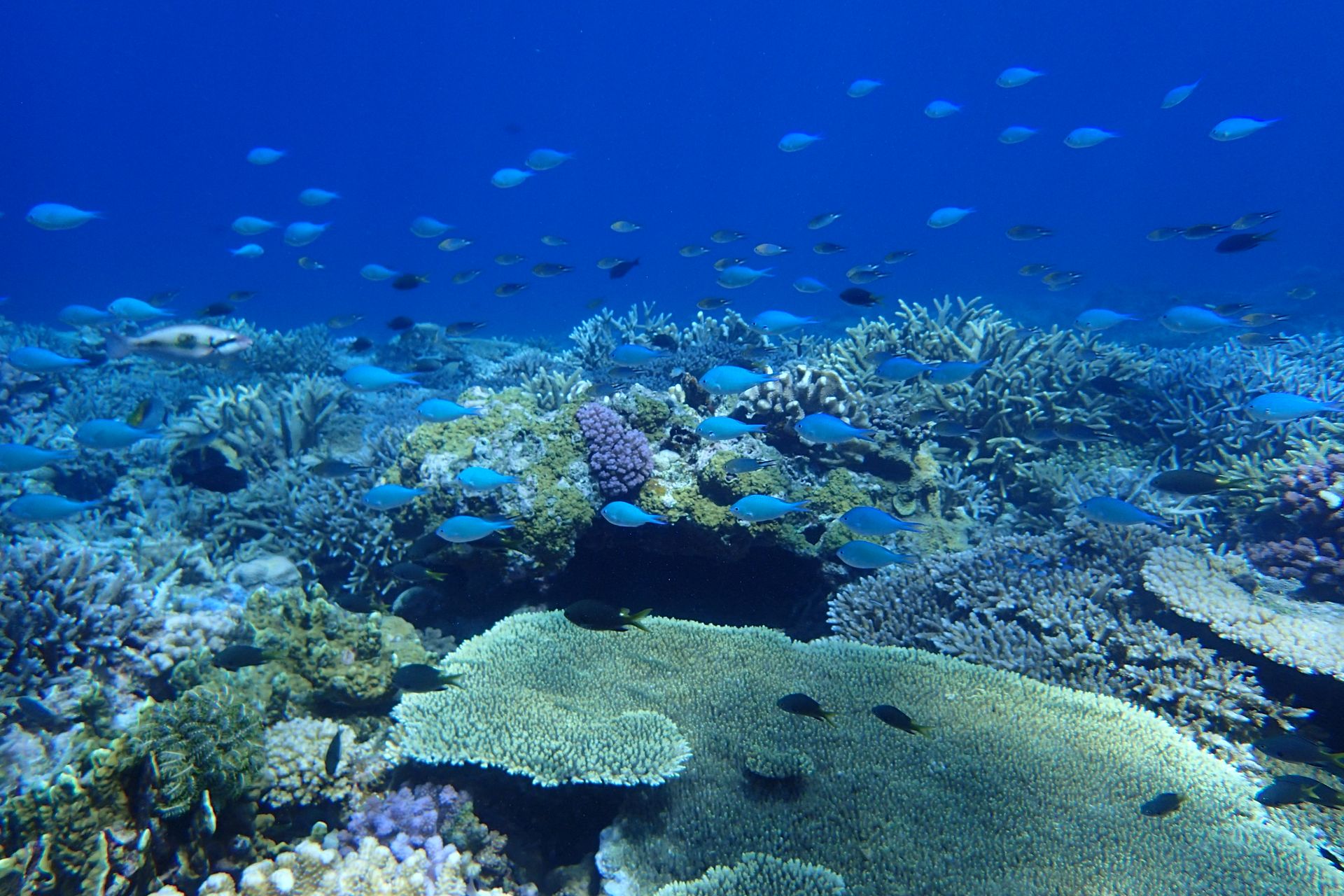 海と旅の記録