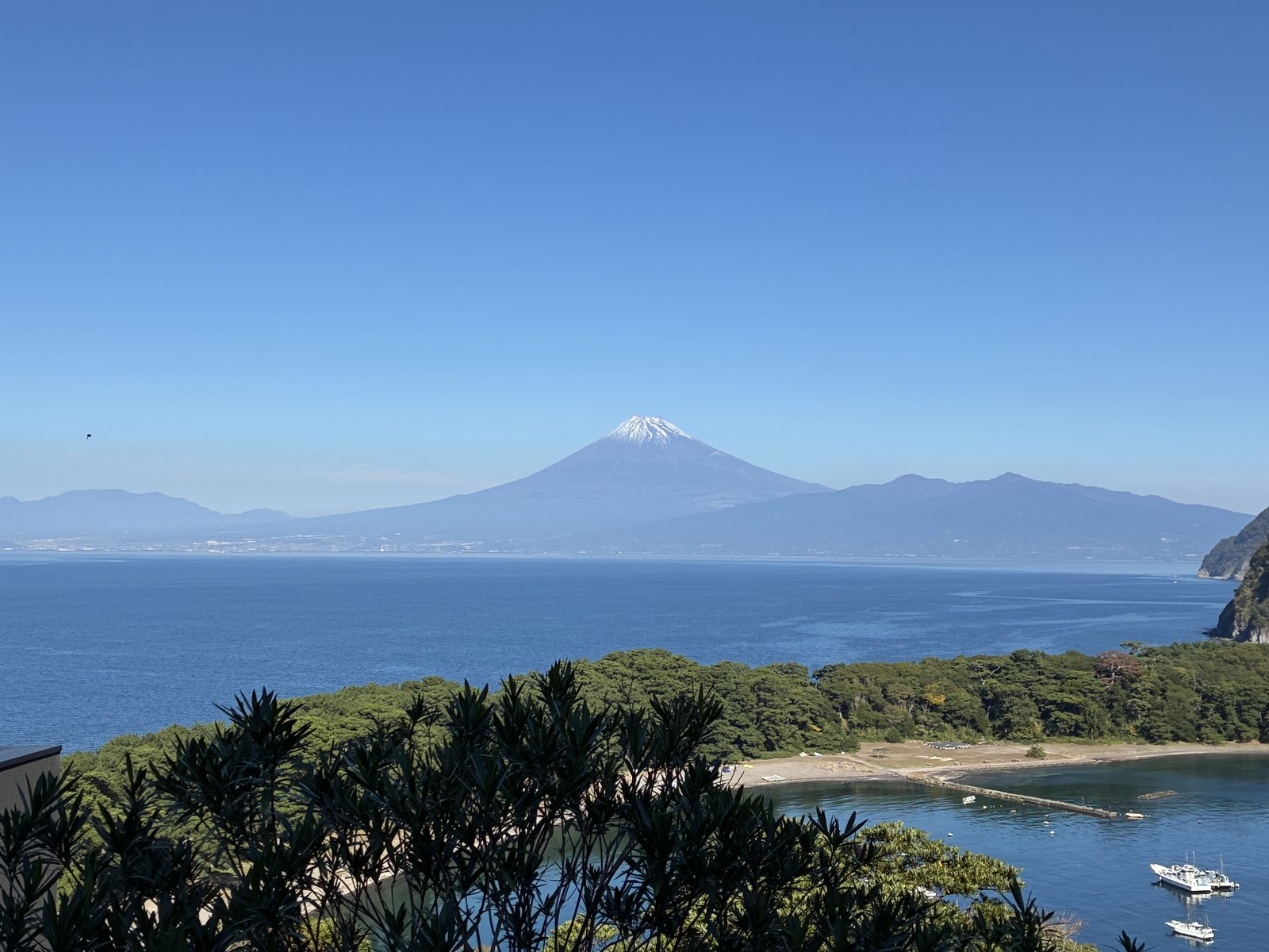 母を誘い、西伊豆 富士青藍に泊まりました