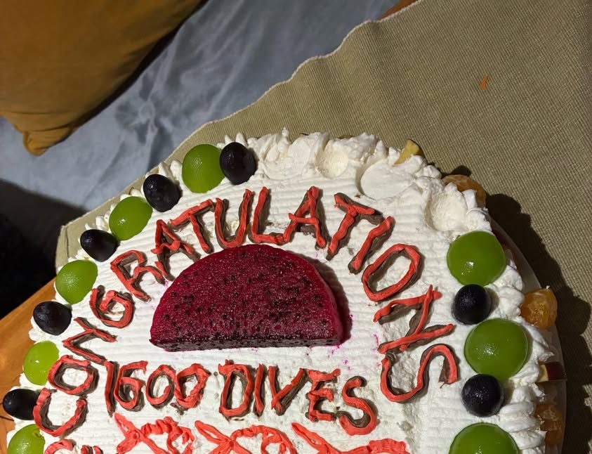 1600本のお祝いのケーキ